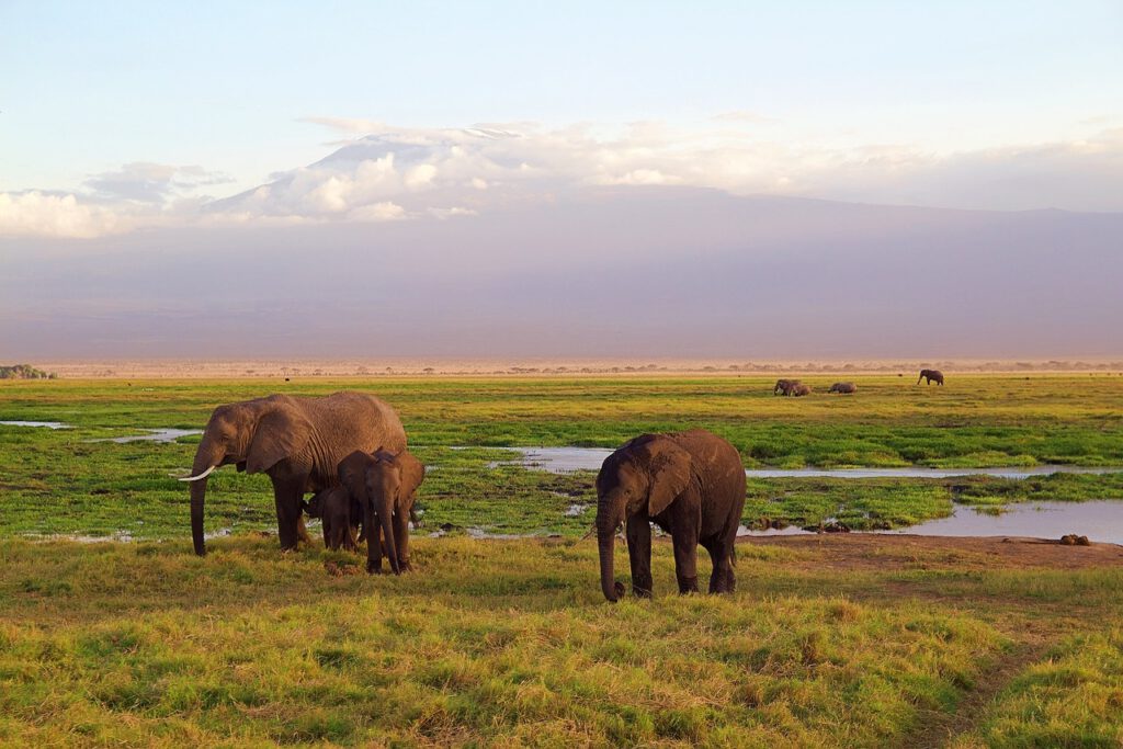 14 Countries in Africa That Will Make You Pack Your Bags Immediately