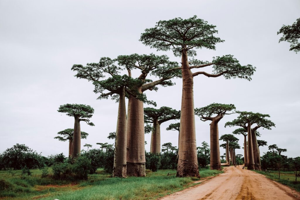 14 Countries in Africa That Will Make You Pack Your Bags Immediately