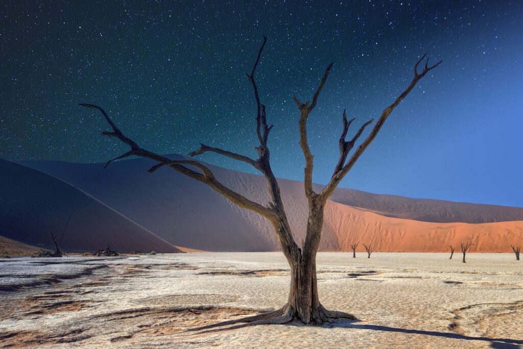 14 Countries in Africa That Will Make You Pack Your Bags Immediately